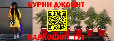 стаф Кулебаки